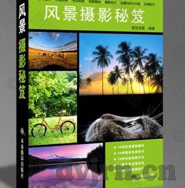 2017伦理大全-2017伦理大全，构建和谐社会的基石