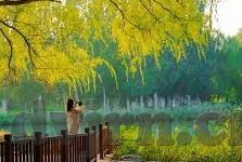 成人91麻豆-成长路上，成人世界的别样风景 —— 透过91麻豆探索成人世界的多样性