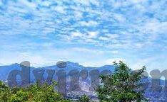 狐狸视频成人-狐狸视频成人，网络文化的一道独特风景