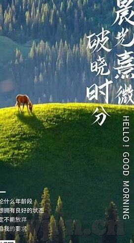 精品推荐国产日韩av-国产日韩AV精品推荐，探索成人娱乐的多样选择