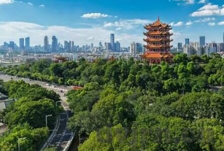 精品一区二区-精品一区二区，匠心独运，品质生活的缩影