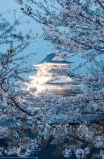 麻豆91app-