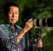 糖心vlog成人安卓-探索糖心VLOG应用的多元魅力和风险考量