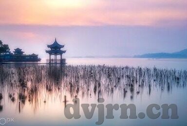 糖心vlog 在线-沉浸在糖心Vlog的在线世界，探索生活点滴的情感温度