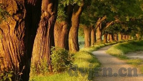 亚洲制服丝袜一区二区三区-亚洲制服丝袜，文化、美学与时尚的交织