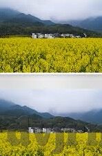 中文在线一区二区-探索中文在线一区二区的多元发展路径