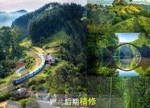 中文字幕文件下载-探索中文字幕文件的便捷下载途径